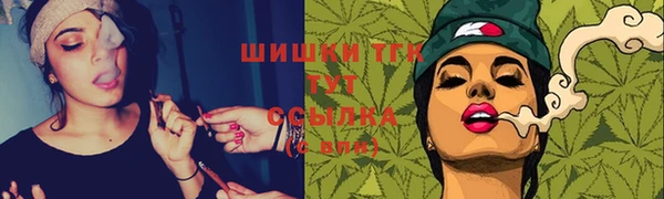 СК Новодвинск