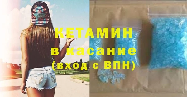 СК Новодвинск