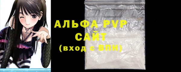 СК Новодвинск