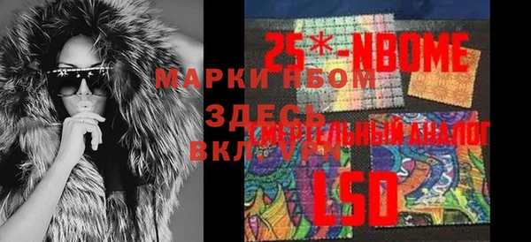 СК Новодвинск