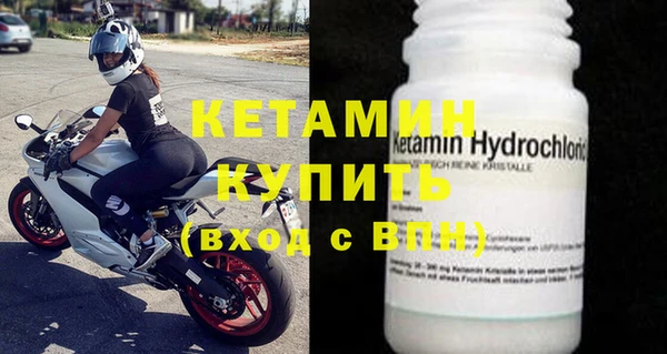 шишки Новозыбков