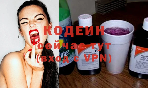 a pvp Няндома