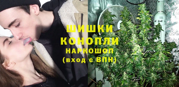 СК Новодвинск