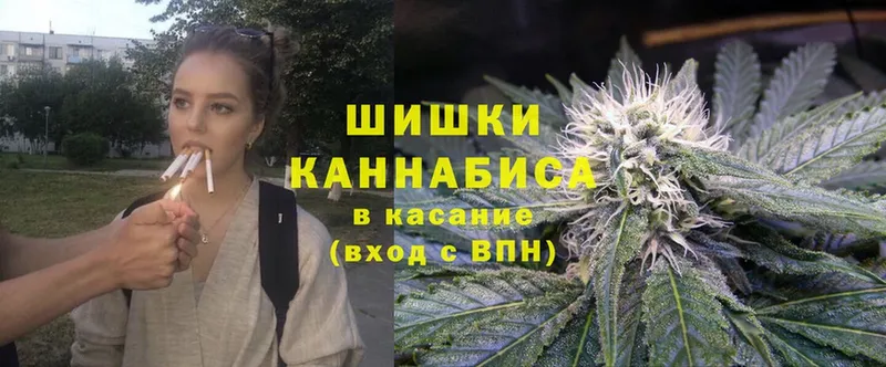 купить наркоту  Александровск-Сахалинский  Бошки марихуана THC 21% 